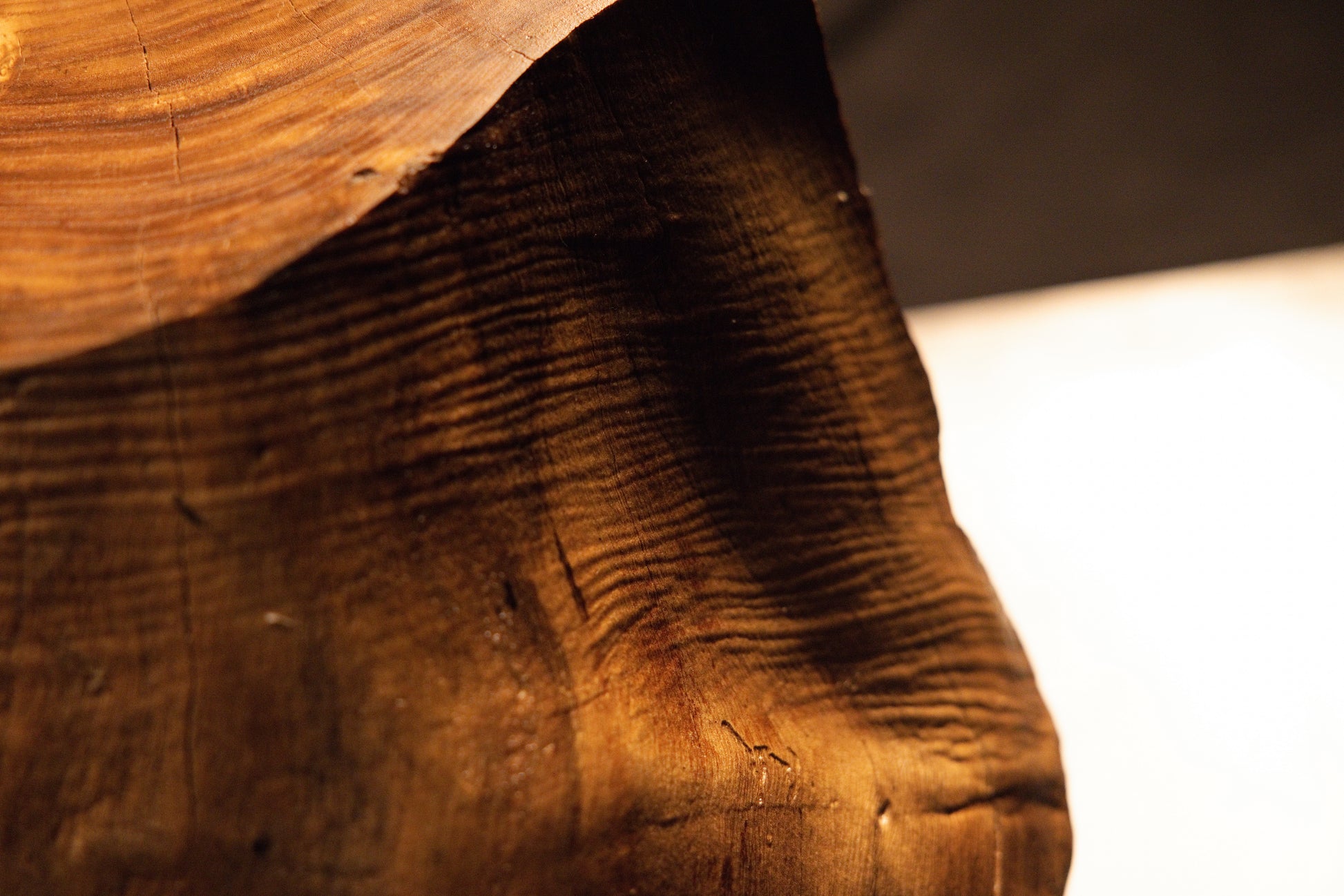 Intimate view of weathered timber texturing meeting a deep dark shadow corner on the organic root sculpture piece. 