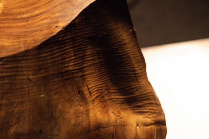 Intimate view of weathered timber texturing meeting a deep dark shadow corner on the organic root sculpture piece. 