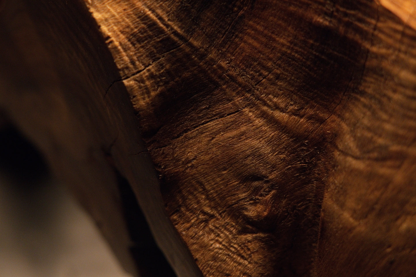 Macro perspective showcasing fine linear wood textures and warm golden light playing across the sculpted root surface. 