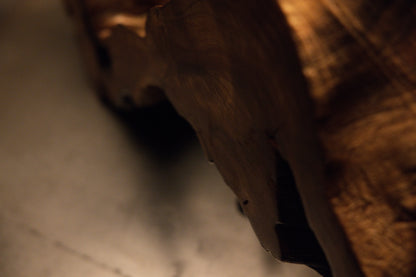 Detailed macro capture of a polished solid wooden block corner casting dramatic shadows across the root sculpture. 