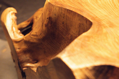 Close-up macro view of smooth polished solid wood curves framing a deep dark cavity on the organic root sculpture. 