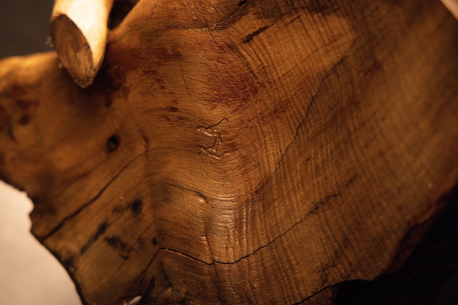 Macro photo capturing fine linear wood grain and a subtle natural textural surface marking on the root block face. 