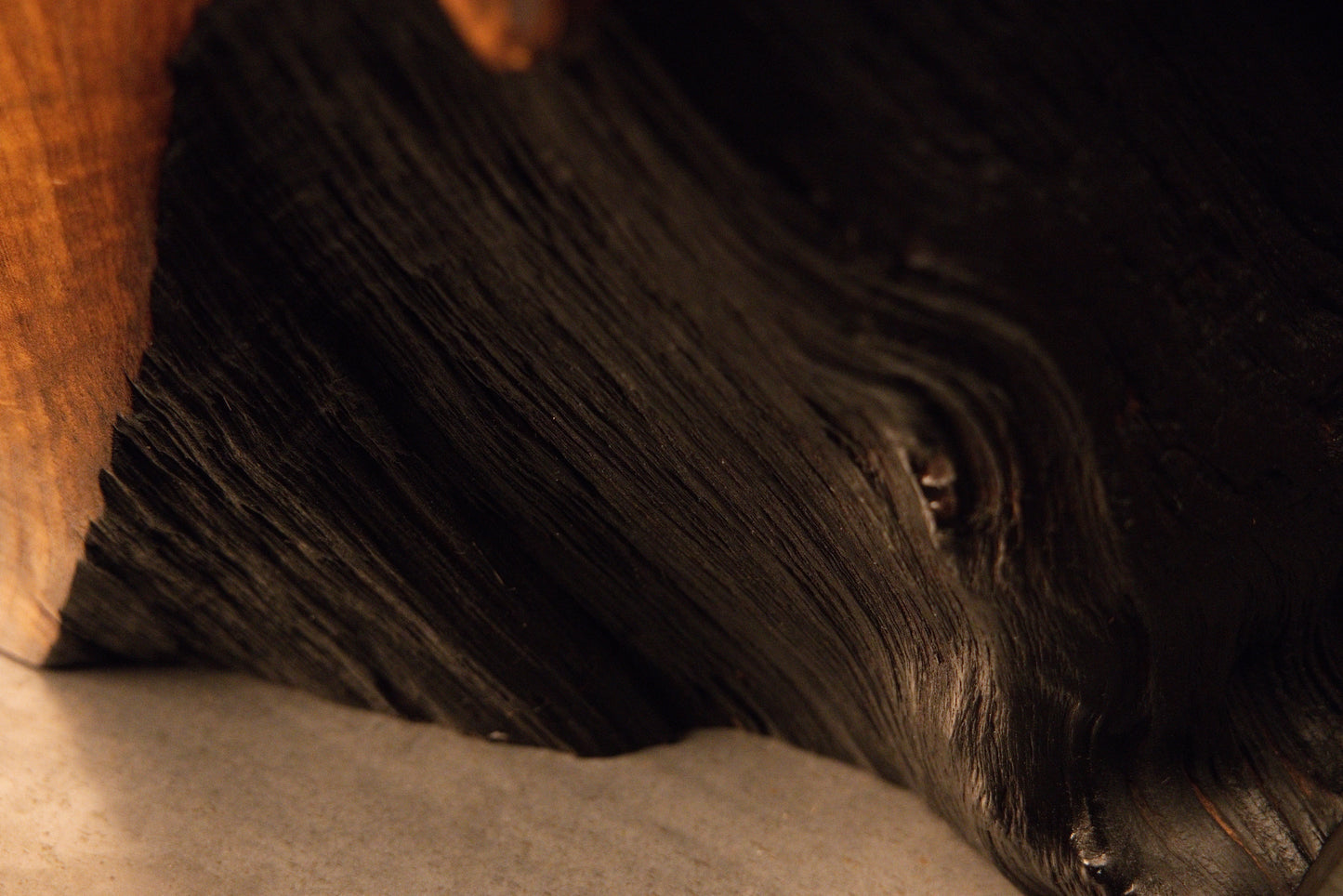 Detailed macro view capturing complex organic transitions between a polished wooden root contour and a dark void. 