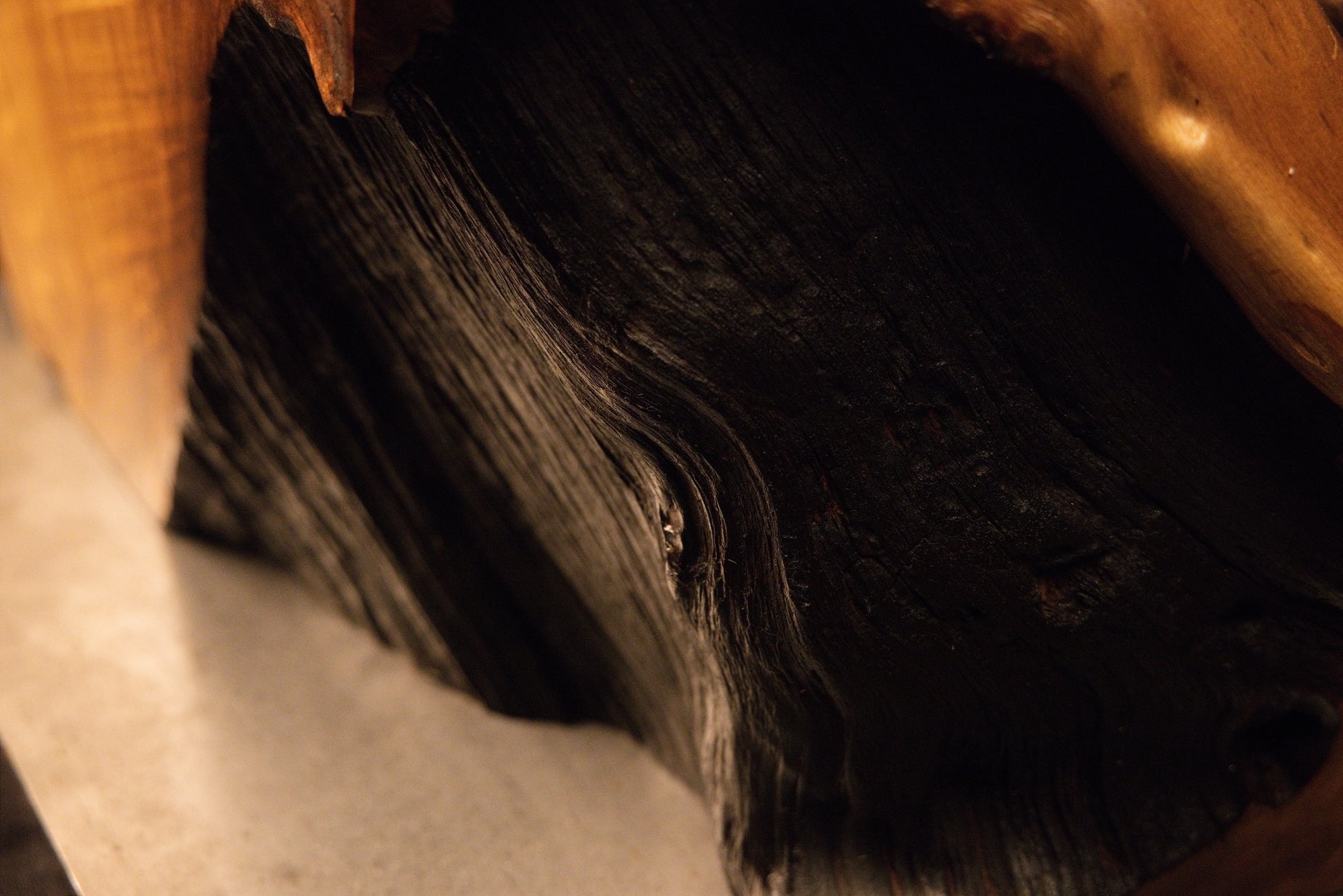 Detailed macro perspective looking into a dark organic root cavity showcasing smooth polished interior contours. 