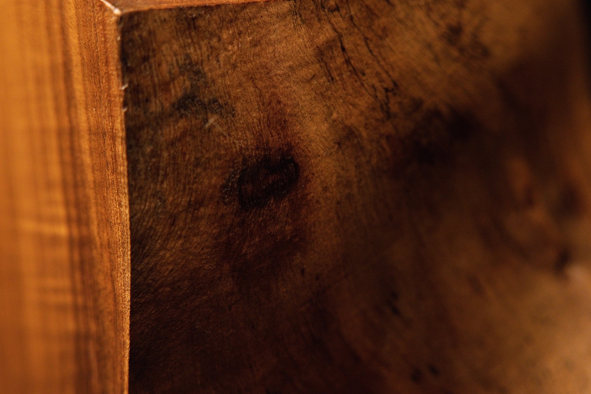 Macro photograph highlighting undulating wood grain textures and surface undulations across the curved root element. 