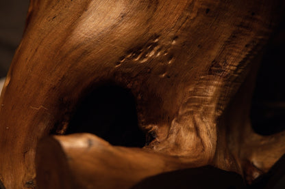 Detailed macro photograph capturing smooth undulating contours and warm golden textures of the solid root sculpture. 