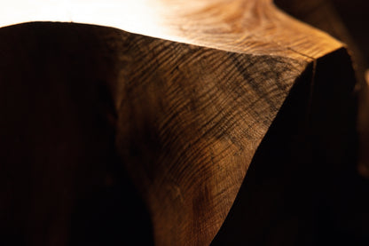 Detailed close-up view of weathered timber texturing meeting a deep dark shadow corner on the massive root art piece. 
