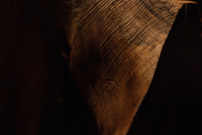 Macro photograph highlighting fine surface checking and warm golden tones wrapping around the curved root sculpture. 