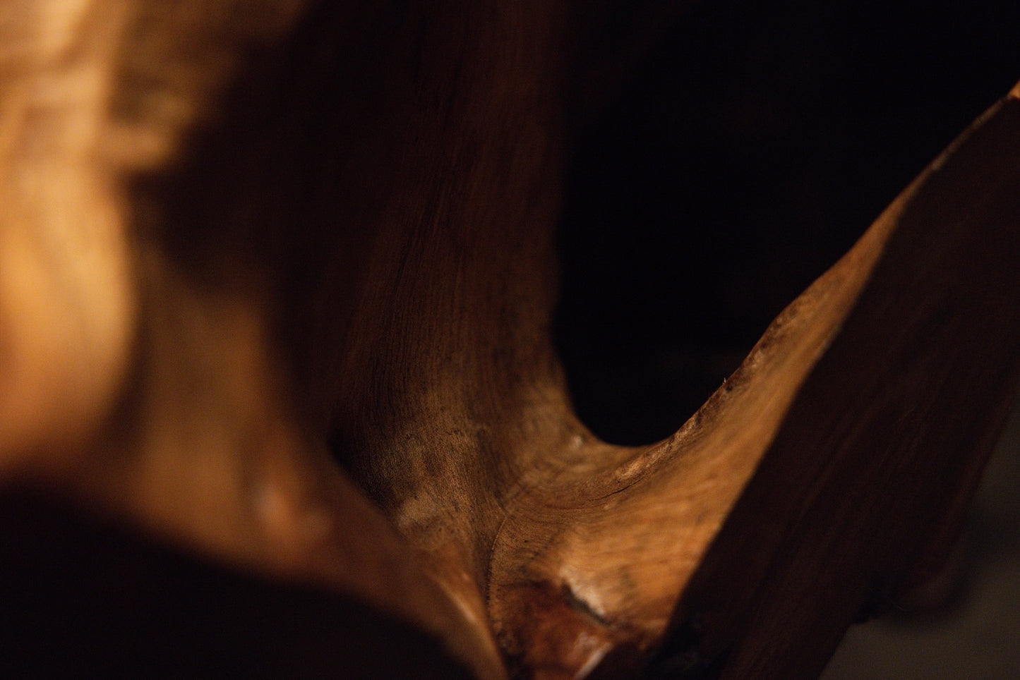 Detailed macro view of polished wood contours fading gracefully into a dark recessed shadow on the solid root piece. 