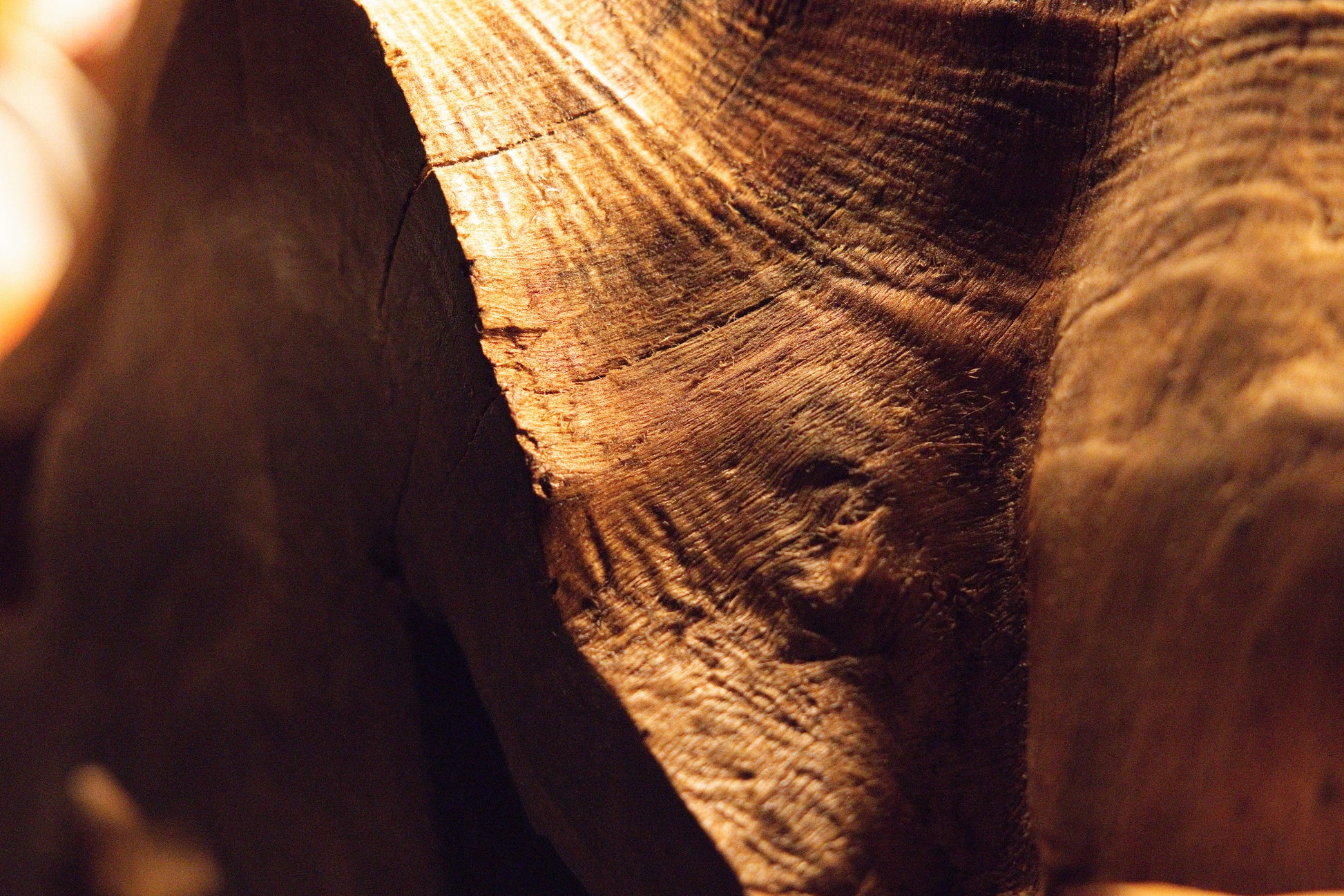 Close-up macro view of smooth polished solid wood curves seamlessly framing a deep cavity on the root monolith. 