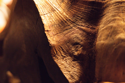 Close-up macro view of smooth polished solid wood curves seamlessly framing a deep cavity on the root monolith. 