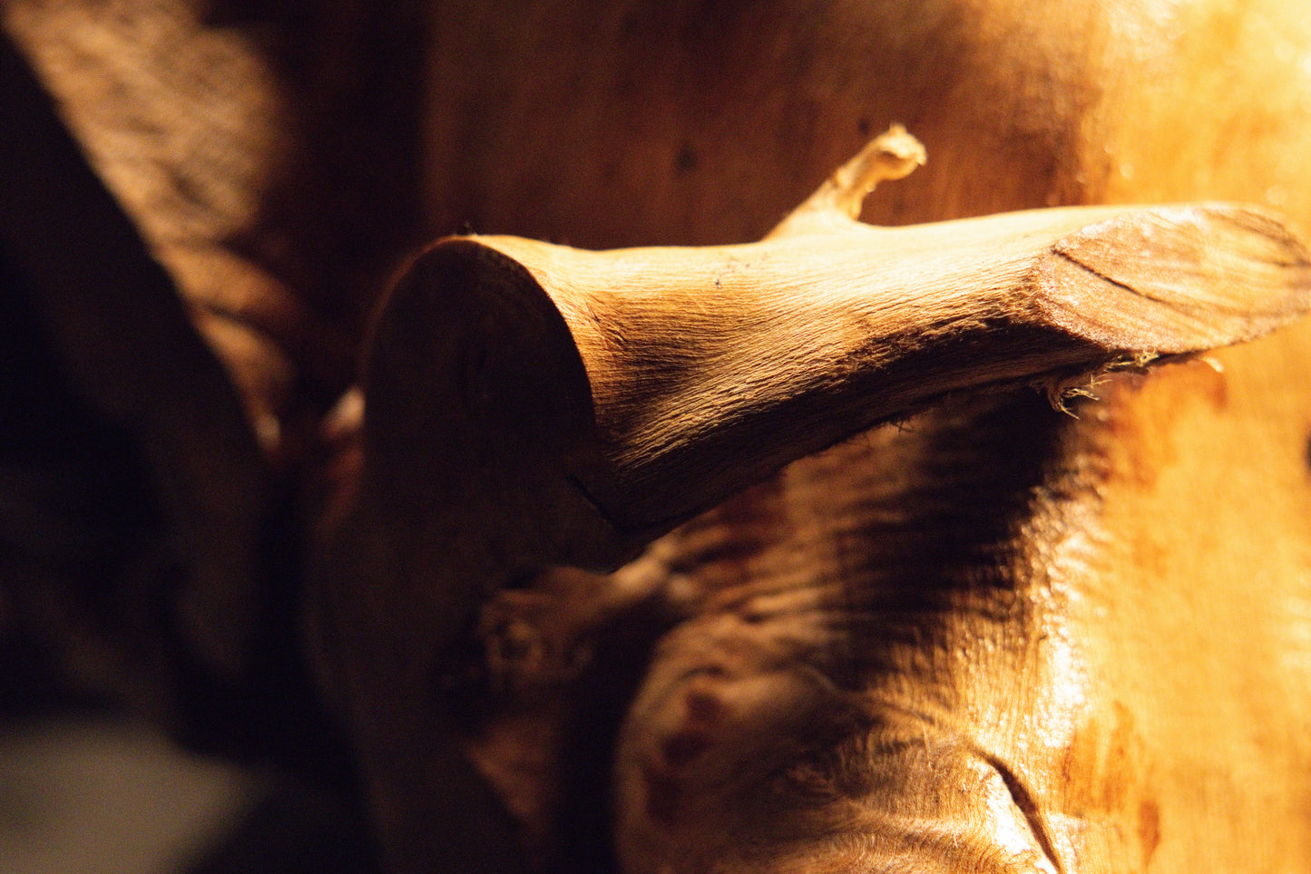 Detailed close-up view of intricately textured wood surfaces featuring natural burls and warm golden highlights. 