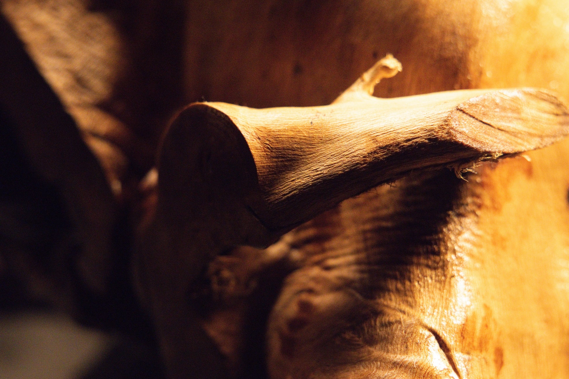 Detailed close-up view of intricately textured wood surfaces featuring natural burls and warm golden highlights. 