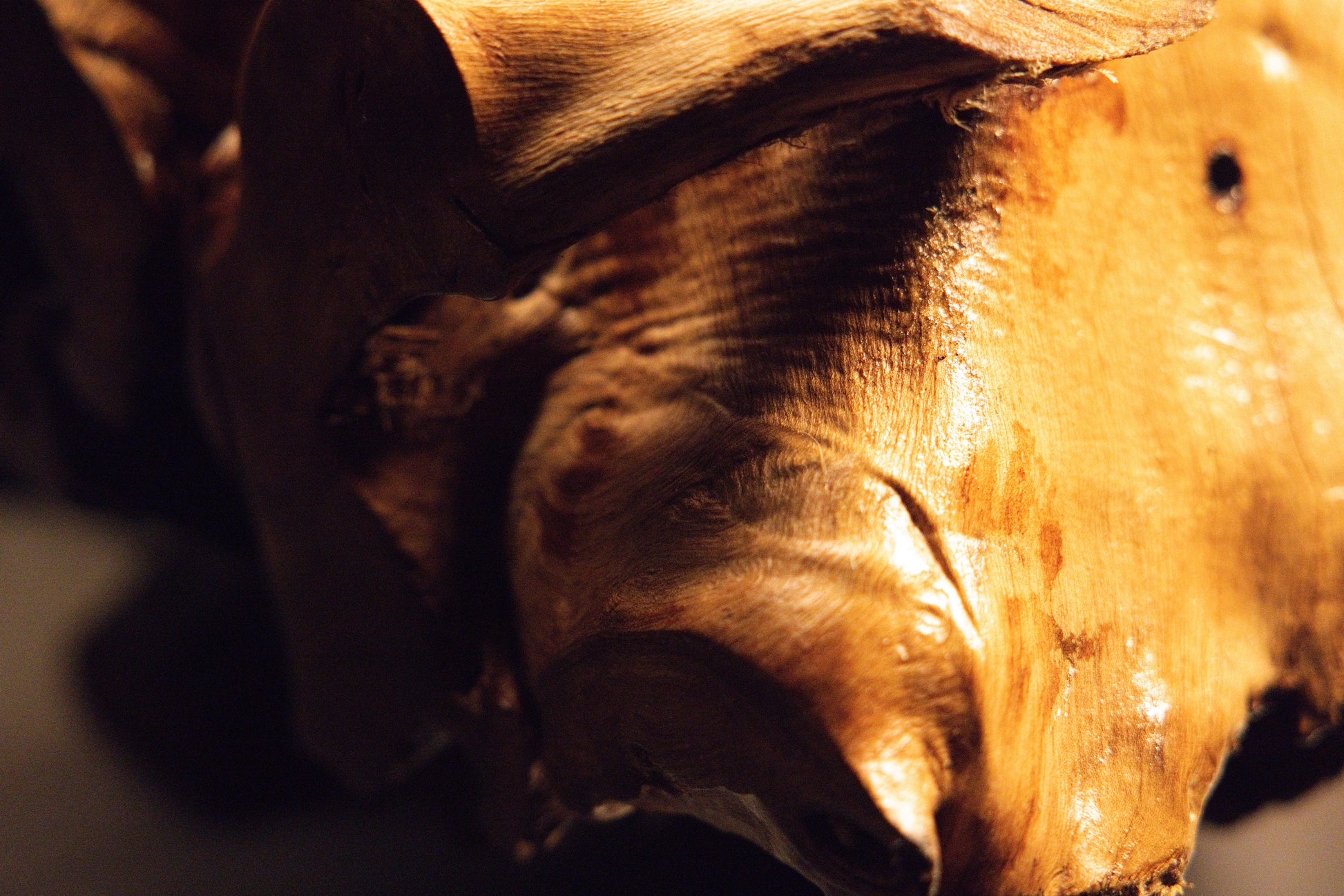 Macro photograph capturing fine linear wood grain and a subtle natural textural surface mark on the polished block. 