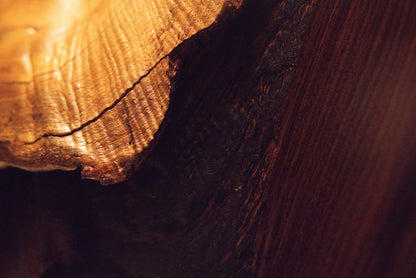 Close-up macro perspective of warm golden growth rings abruptly terminating at the edge of a deep dark void opening. 