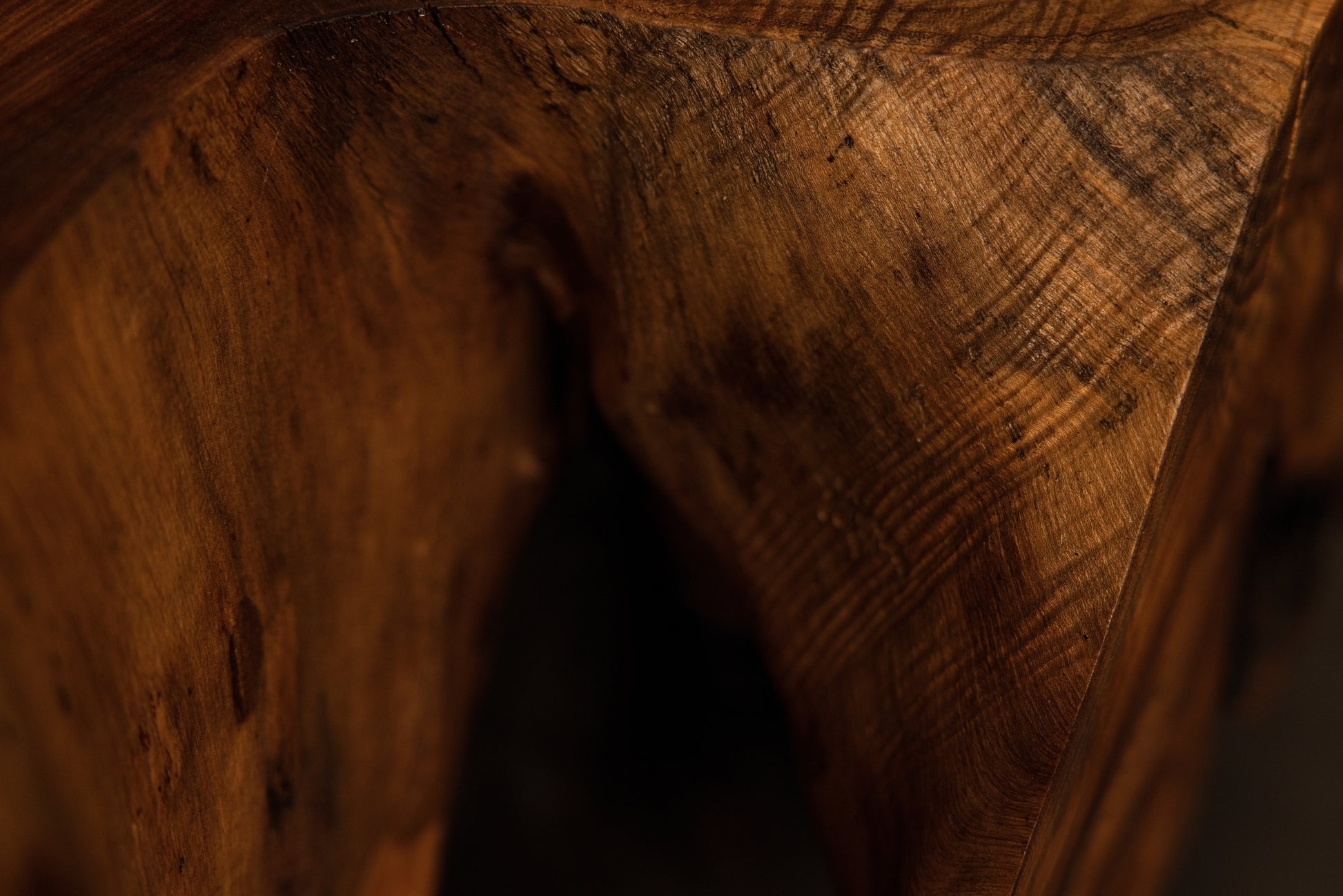 Detailed macro view capturing a dark organic wood cavity corner showcasing smooth polished walls and shadow depth. 