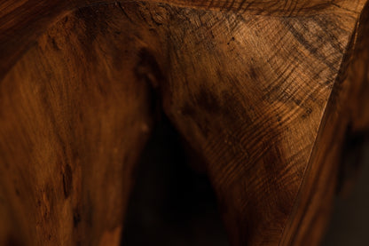 Detailed macro view capturing a dark organic wood cavity corner showcasing smooth polished walls and shadow depth. 