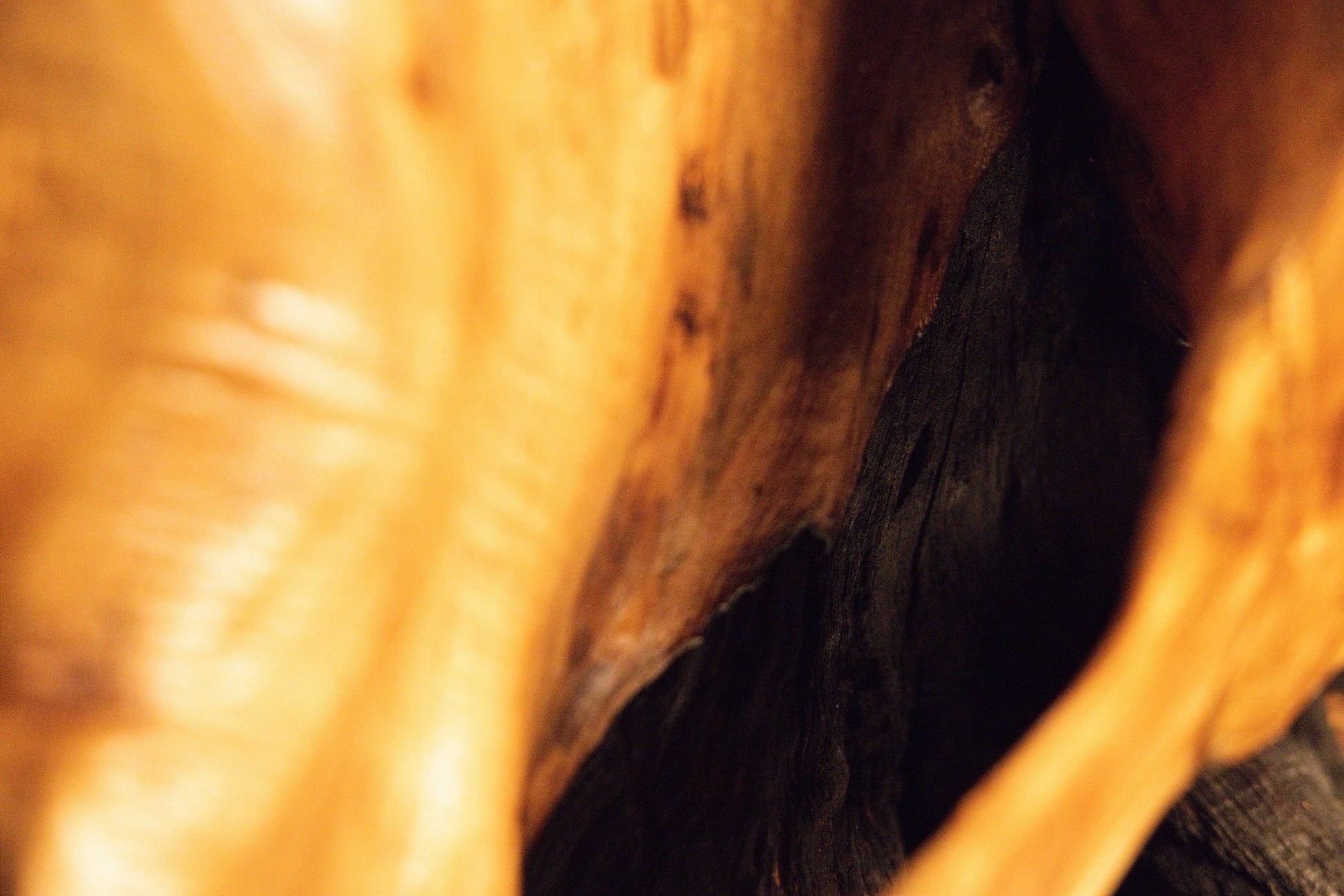 Detailed macro photograph of a solid structural timber element highlighting fine grain details and warm color tones. 