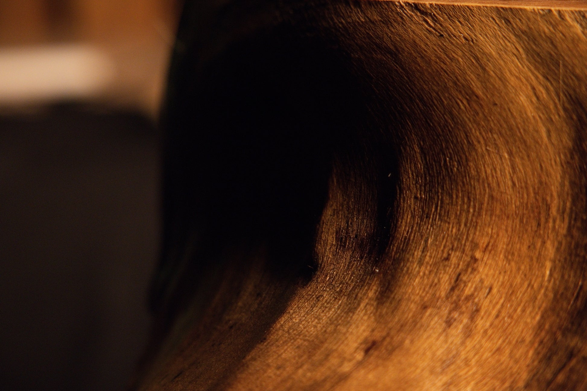 Detailed close-up view of warm golden wood textures and fine linear grain patterns on the custom root sculpture. 