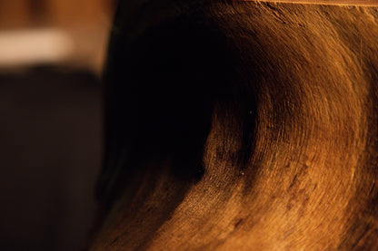 Detailed close-up view of warm golden wood textures and fine linear grain patterns on the custom root sculpture. 
