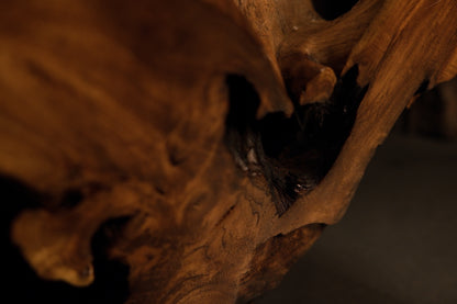 Detailed macro perspective capturing clean vertical grain lines and smooth tactile polish across the natural wood. 