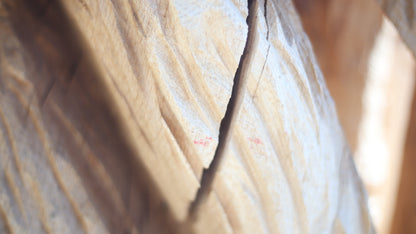 Sculpting and 3d art in woodworking  |  Stop the cracking.