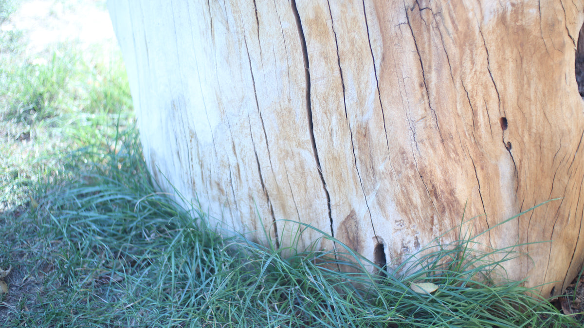 Sculpting and 3d art in woodworking  |  Stop the cracking.
