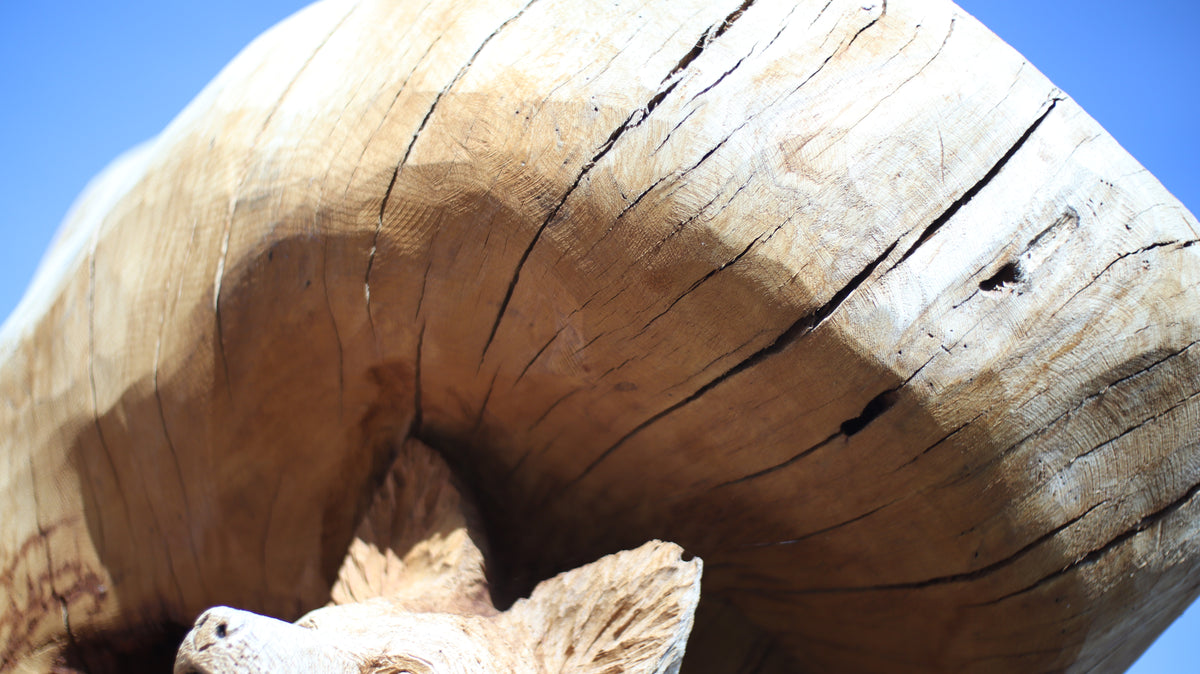 Sculpting and 3d art in woodworking  |  Stop the cracking.