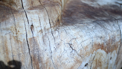 Sculpting and 3d art in woodworking  |  Stop the cracking.