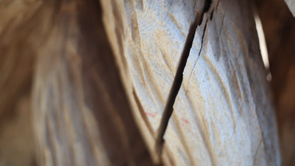 Sculpting and 3d art in woodworking  |  Stop the cracking.