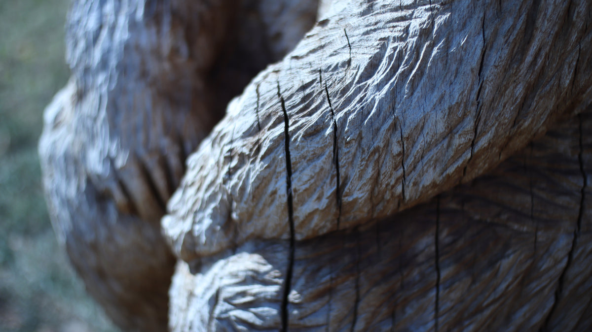 Sculpting and 3d art in woodworking  |  Stop the cracking.