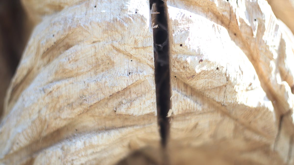 Sculpting and 3d art in woodworking  |  Stop the cracking.