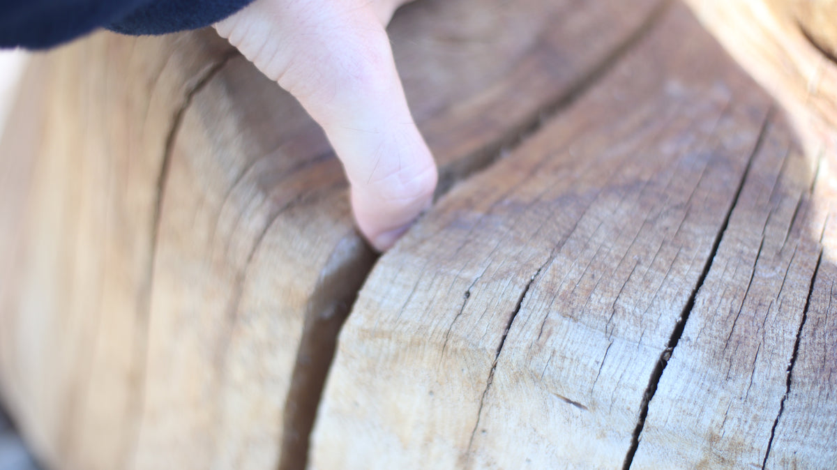 Sculpting and 3d art in woodworking  |  Stop the cracking.