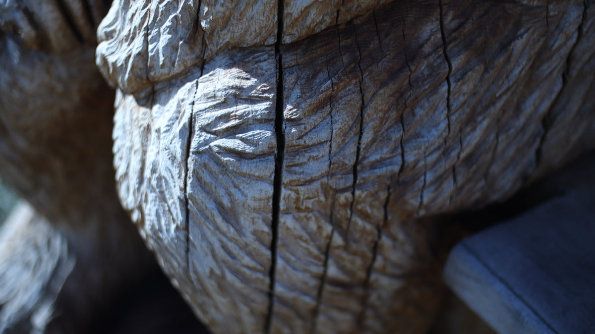 Sculpting and 3d art in woodworking  |  Stop the cracking.