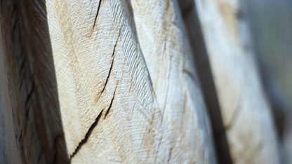 Sculpting and 3d art in woodworking  |  Stop the cracking.