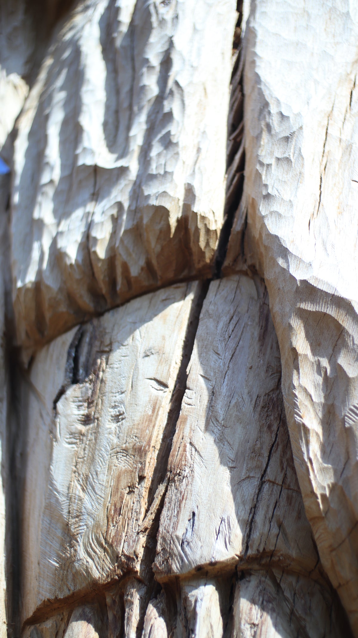 Sculpting and 3d art in woodworking  |  Stop the cracking.
